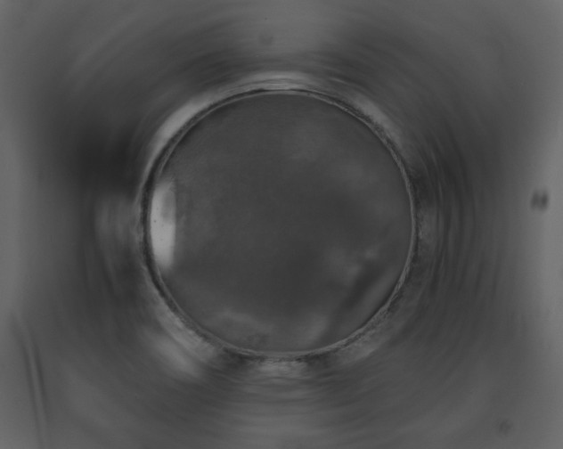 X0000091681466200708231405