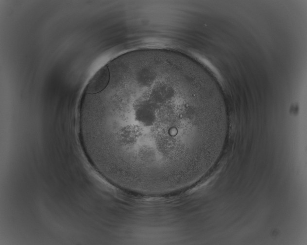 X0000091681467200708231405