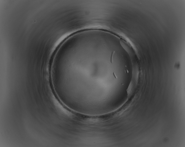 X0000091681468200708231405