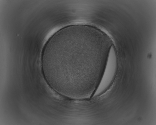 X0000091681469200708231405
