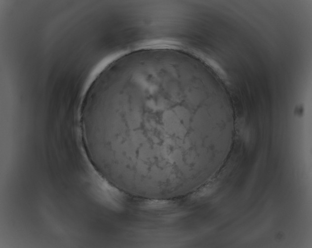 X0000091681470200708231405
