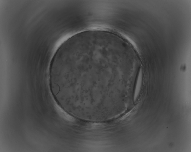 X0000091681471200708231405