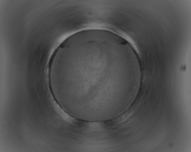 X0000091681472200708231405