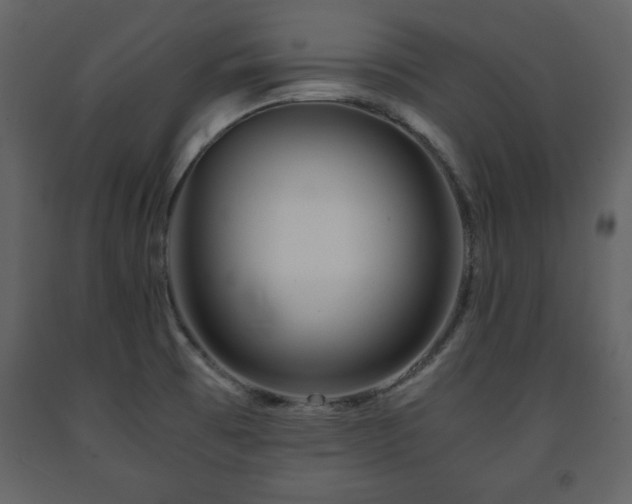 X0000091681473200708231405