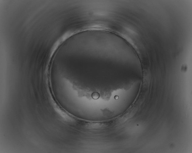 X0000091681474200708231405