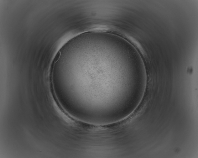 X0000091681475200708231405