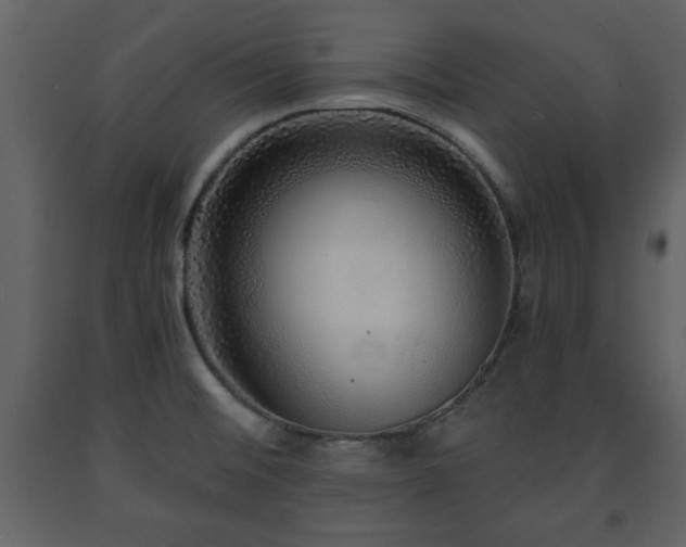 X0000091681476200708231405