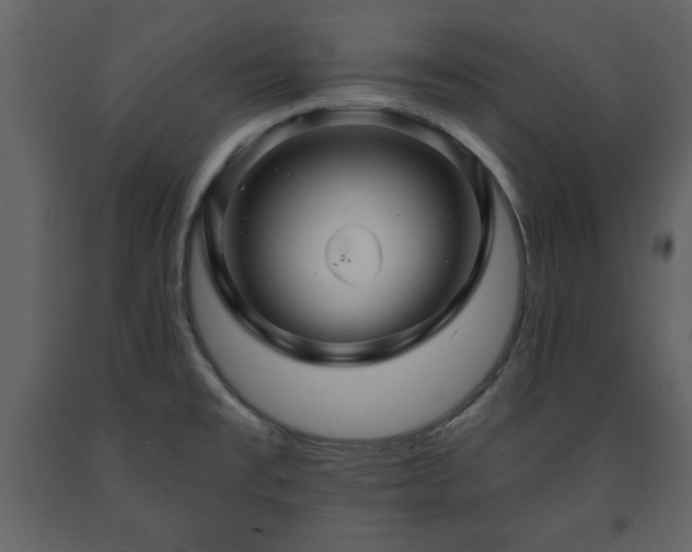 X0000091681477200708231405