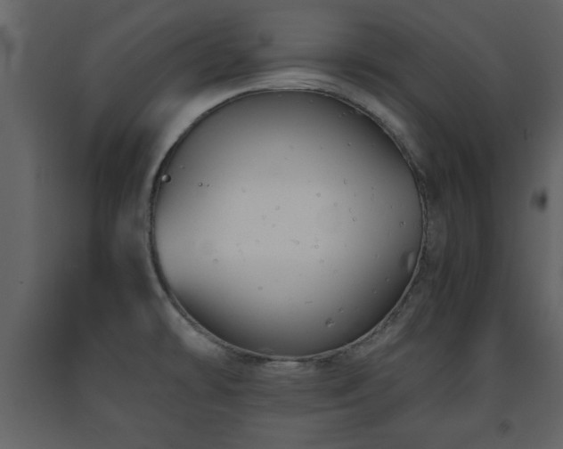 X0000091681478200708231405