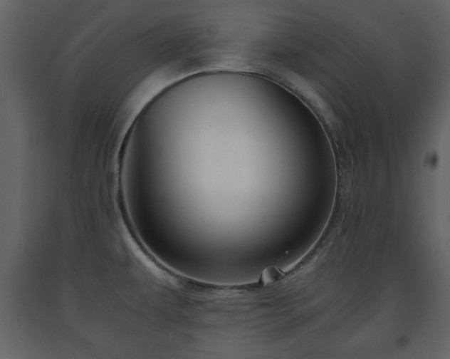 X0000091681479200708231405
