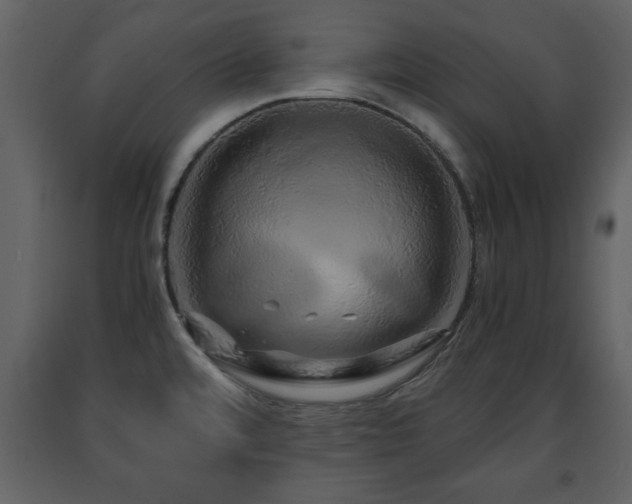 X0000091681480200708231405