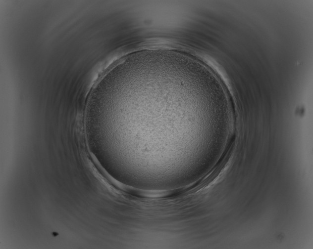X0000091681481200708231405