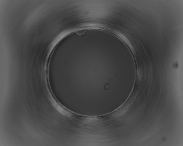 X0000091681482200708231405