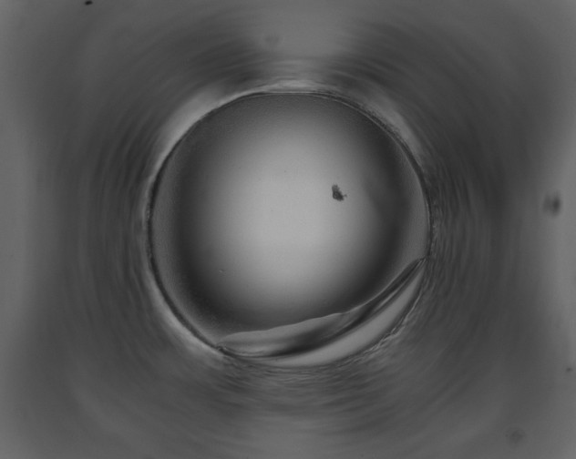 X0000091681483200708231405