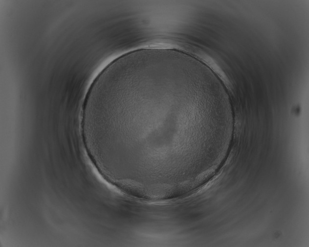 X0000091681484200708231405