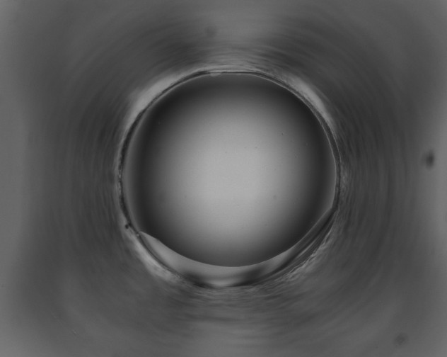 X0000091681485200708231405
