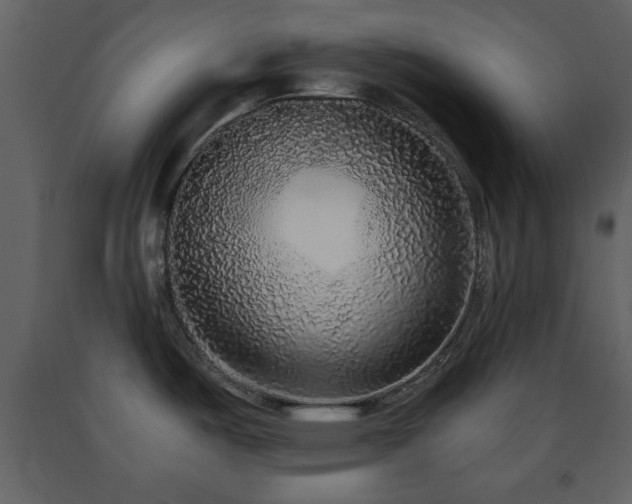X0000091681487200708231405
