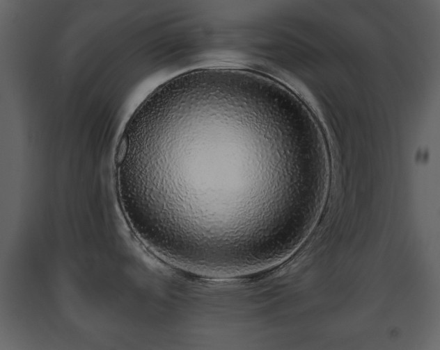 X0000091681488200708231405