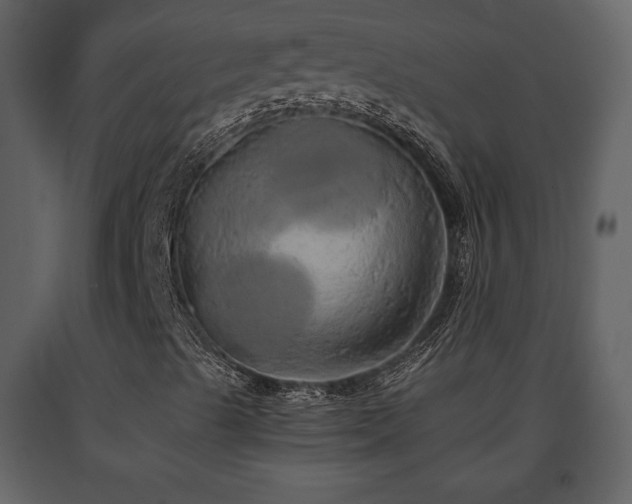 X0000091681489200708231404