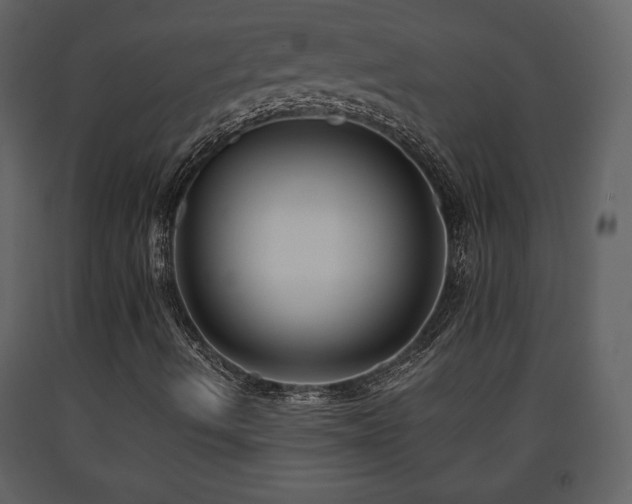 X0000091681490200708231404