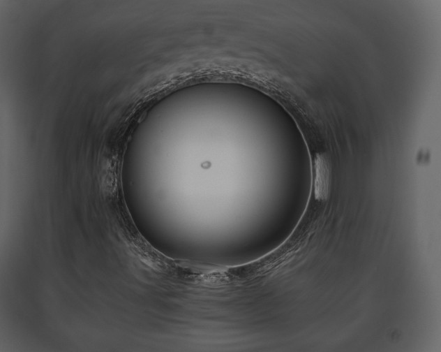 X0000091681491200708231404