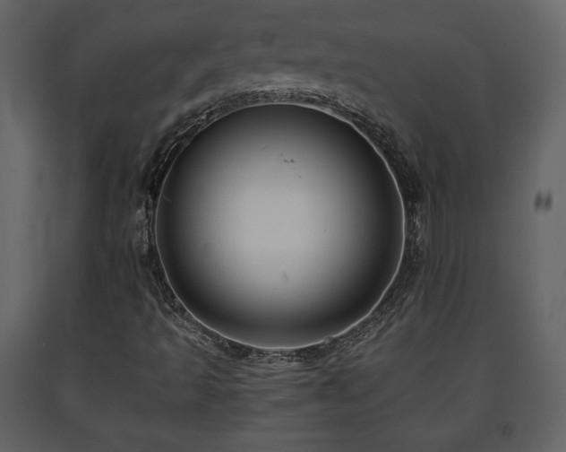 X0000091681493200708231404