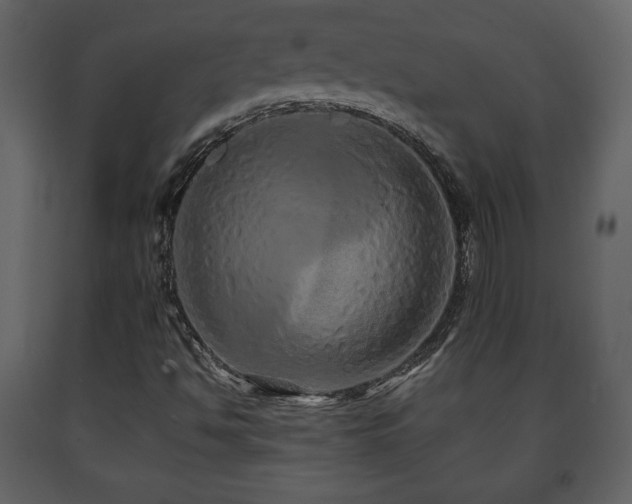 X0000091681494200708231404