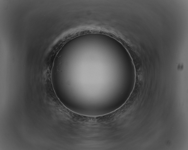 X0000091681495200708231404