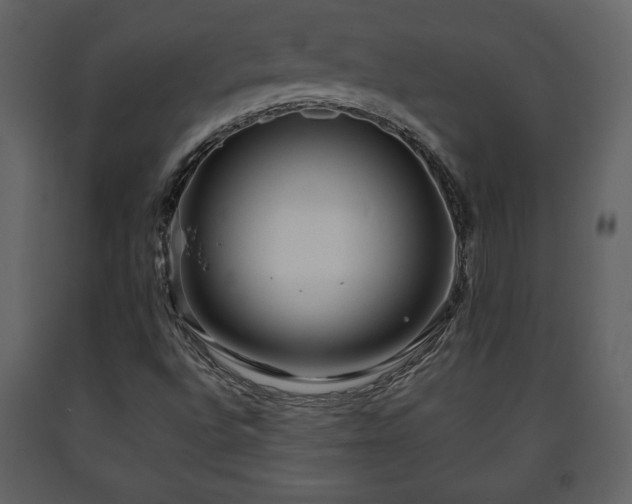 X0000091681496200708231404