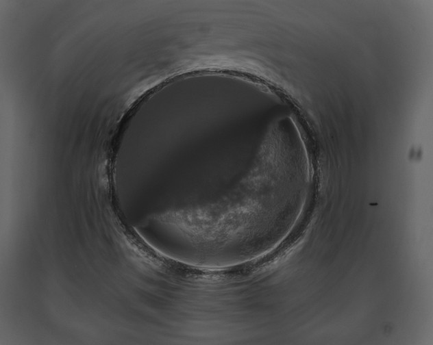 X0000091681497200708231404