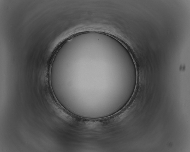 X0000091681498200708231404
