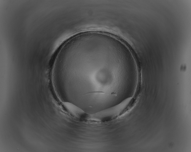 X0000091681501200708231404