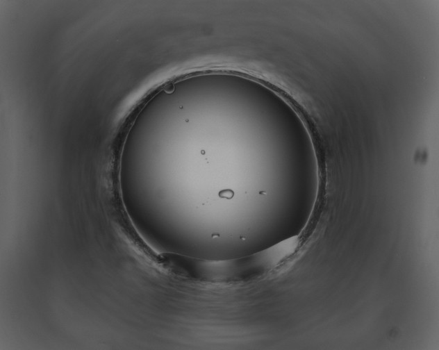 X0000091681502200708231404