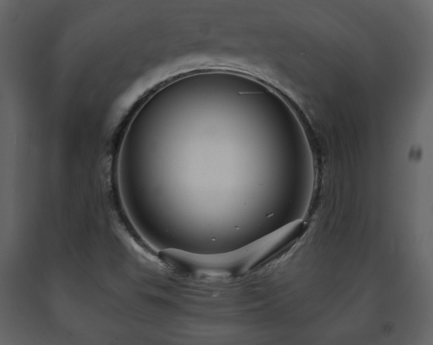 X0000091681503200708231405