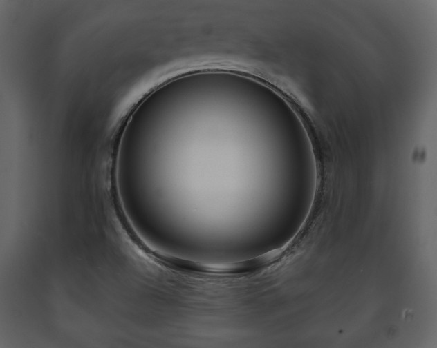 X0000091681504200708231405