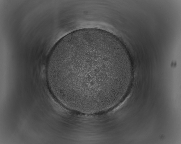X0000091681505200708231405