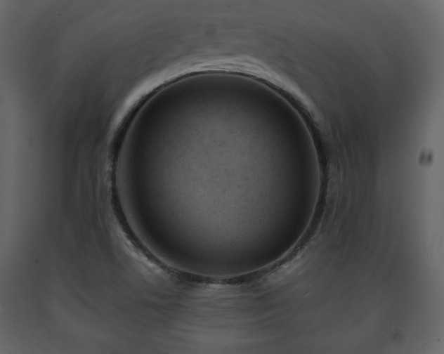 X0000091681506200708231405