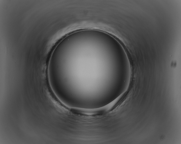 X0000091681507200708231405