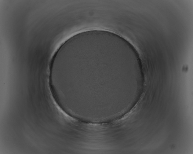 X0000091681508200708231405
