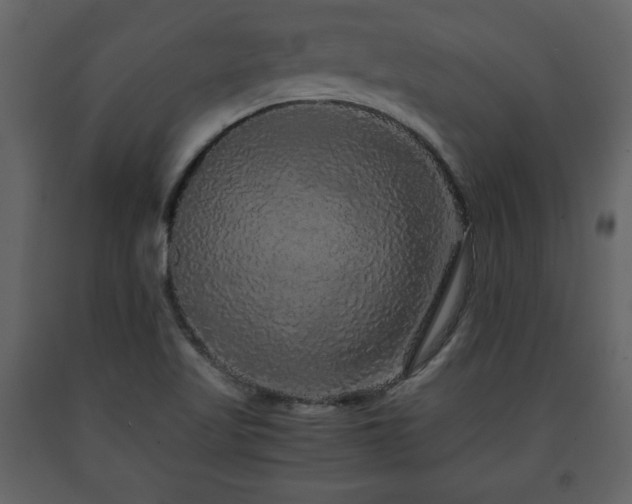 X0000091681509200708231405