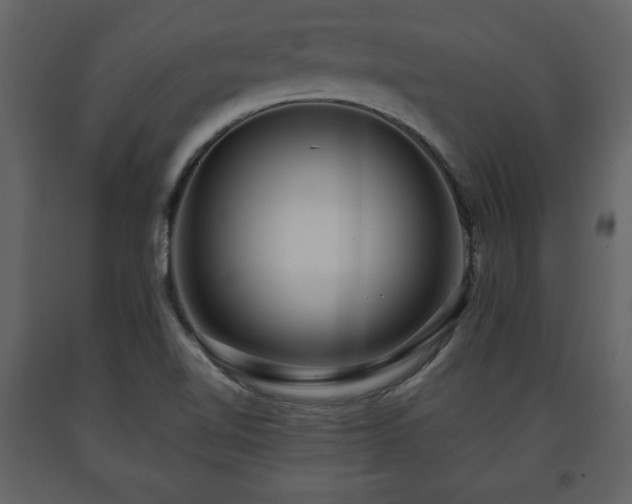 X0000091681510200708231405