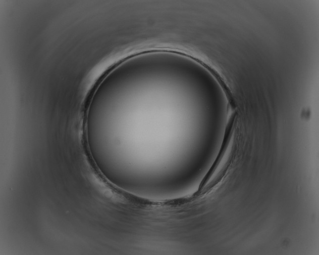 X0000091681511200708231405
