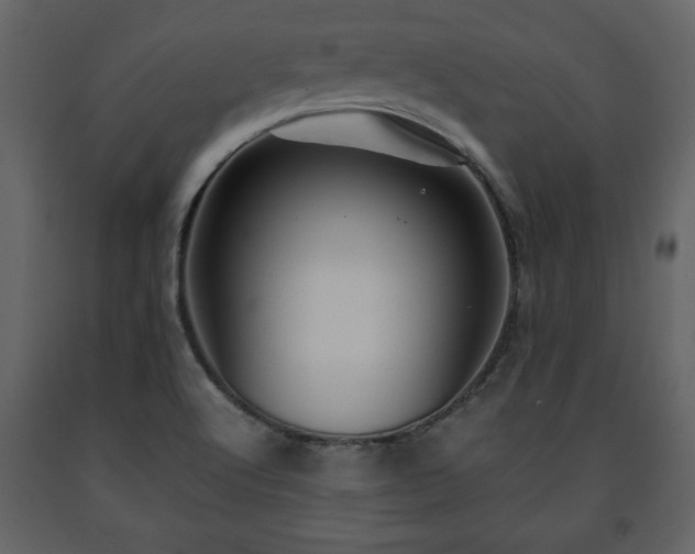 X0000091681512200708231405