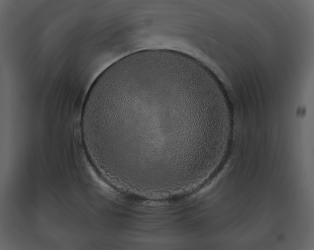 X0000091681513200708231405