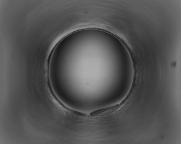 X0000091681516200708231405