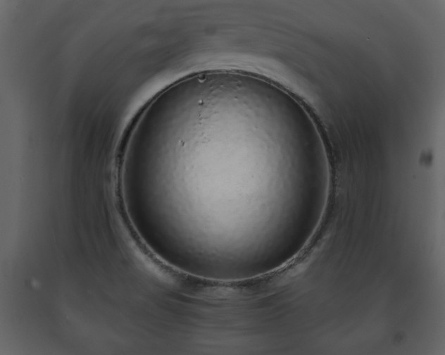 X0000091681517200708231405
