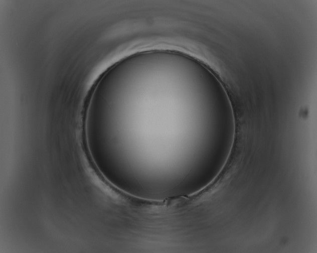 X0000091681518200708231405