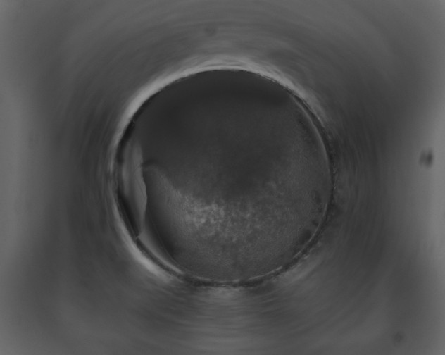 X0000091681519200708231405
