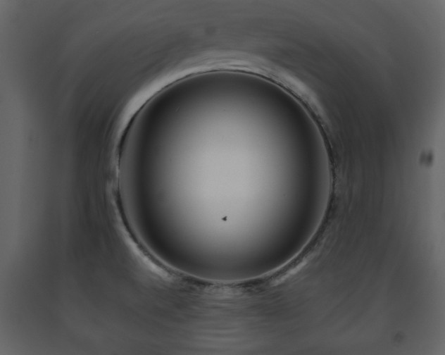 X0000091681520200708231405