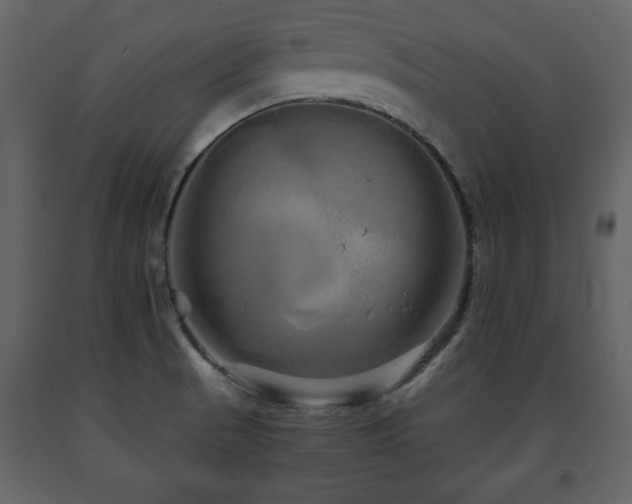 X0000091681521200708231405